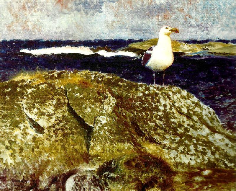 bruno liljefors havstrut vid boet Norge oil painting art